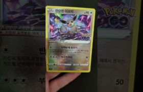 opening Korean pokemon go cards