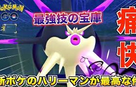 見た目どうかしてる『ハリーマン』が愉快！痛快！大喝采な件wwww【ポケモンGO】