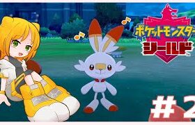 【初見】初めてのワイルドエリア# 2【ポケモンシールド】