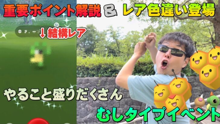 約8%しか持っていないレア色違い登場！むしタイプイベント徹底解説＆初日ロケ動画【ポケモンGO】