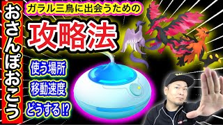 おさんぽおこう攻略！「ガラル三鳥」をGETする方法は！？【ポケモンGO】