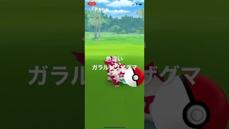 ポケモンGO 色違いガラルジグザグマ出現！