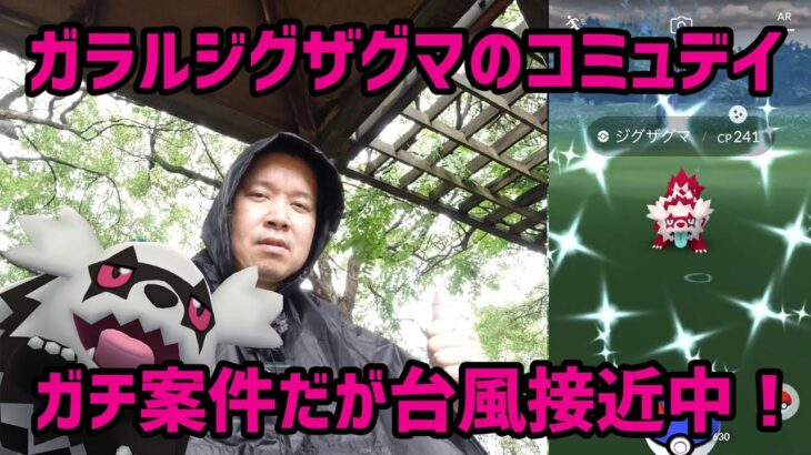 【ポケモンGO】台風接近中、雨装備で挑む！ ガラルジグザグマのコミュニティデイ