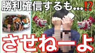 ゆずみんファン乱入！ガラルジグザグマコミュデイ色違い勝負したら恐ろしい結果に・・・【ポケモンGO】