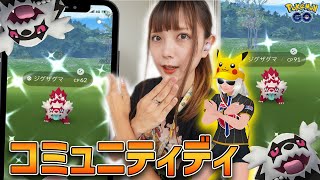 厳選必須!ガラルジグザグマのコミュニティディ！【ポケモンGO】