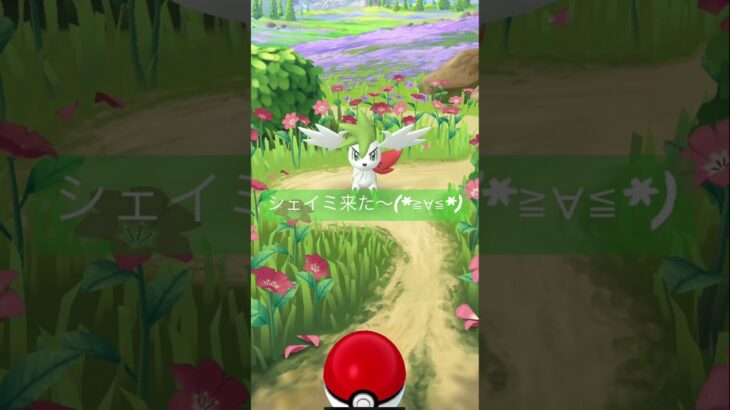 【ポケモンGO】シェイミ(スカイフォルム)ゲットだぜ⁉︎