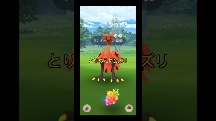 ポケモンGOおさんぽおこうでついにガラルサンダーが！！