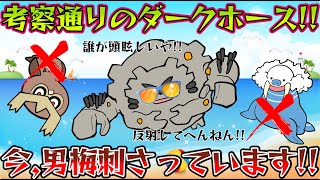 【ポケモンGO】ネタポケ扱い禁止!!ぶっ刺さりAゴローンがサマー環境を掻き乱す!!【サマーカップ】