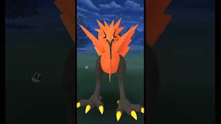 Galarian Zapdos Encounter In Pokemon Go | Galarian Birds Pokemon Go | #pokemongo #Shorts