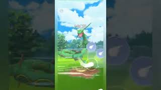 Mewtwo🌀Not afraid To Anyone😎!Rayquaza☄Vs Kyogre🌊!Master League! Pokemon Go