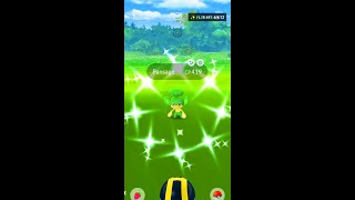 Shiny Pansage Full Odds After 87 Random Encounters – Pokemon Go