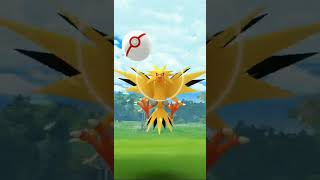 Shiny Zapdos || Pokemon GO