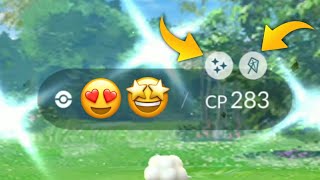 This Shiny is common after research but I like it….. Pokemon go 😍