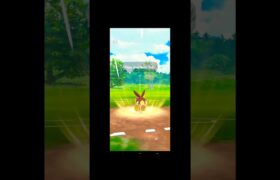 Using Starter Shiny Pokemons To Win In Pokemon go ✨✨