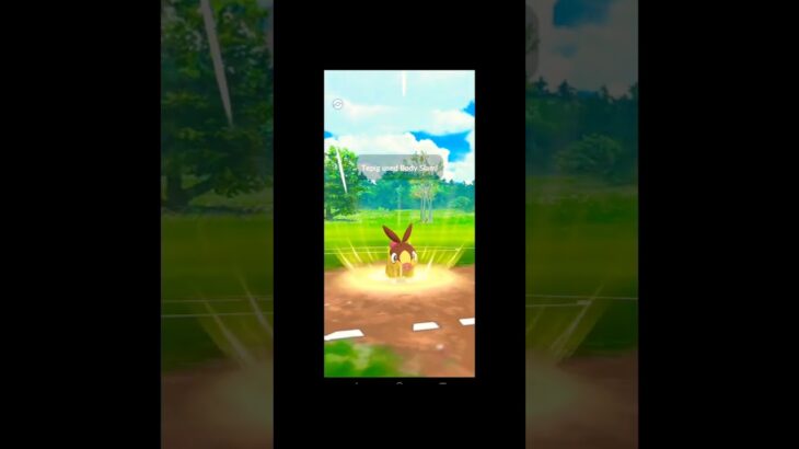 Using Starter Shiny Pokemons To Win In Pokemon go ✨✨