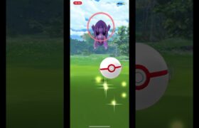 ポケモンgoゲノセクト色違い？