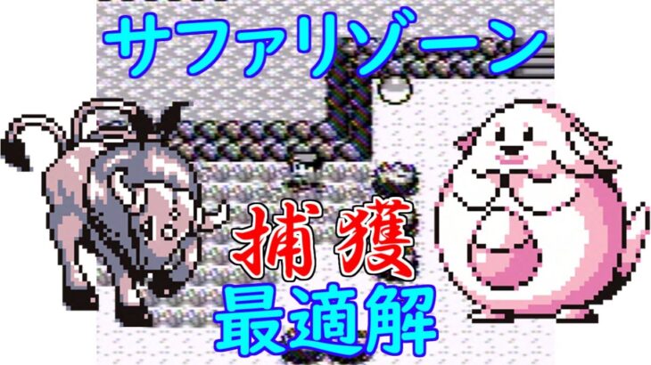 【初代ポケモン】サファリゾーン捕獲大攻略！ゆっくり解説