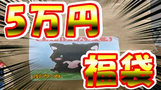 【ポケモンカード】5万円の高額福袋を開封！！果たして内容はいかに？？【開封動画】