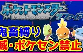 【鬼畜縛り】滅・ポケモンセンター禁止マラソン～ホウエン編#7【ポケモンRSE】