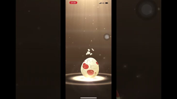 【ポケモンGO】女子ヤトウモリを狙う12kmタマゴ3連🥚#ポケモンgo #shorts #じょし