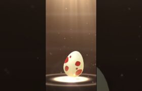 My Egg Hatches during Roggenrola Community Day | Pokemon GO