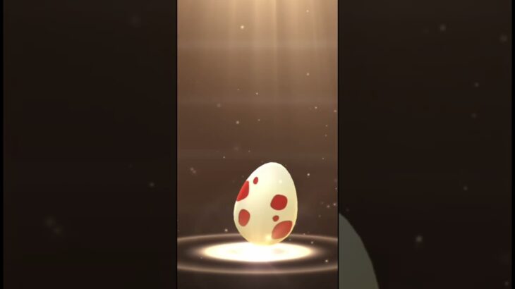 My Egg Hatches during Roggenrola Community Day | Pokemon GO