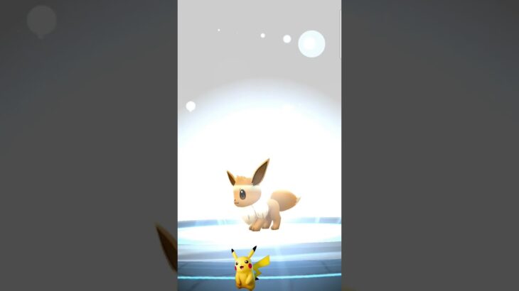 Pokemon Go Eevee