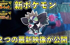 【ポケモンSV】新ポケモン「タギングル」の姿が判明！初の複合タイプ・特性も紹介