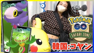 色違いシュシュプが確定ゲット！？韓国のSafariZoneコヤンに参加した結果！！【ポケモンGO】