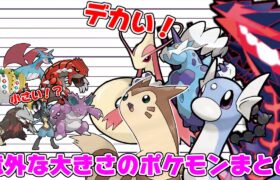 【ポケモン解説】身長詐欺入学式