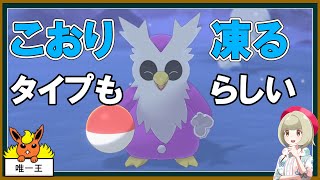 【小話】史上唯一例外、こおりタイプが凍るケース【ポケモンゆっくり解説】