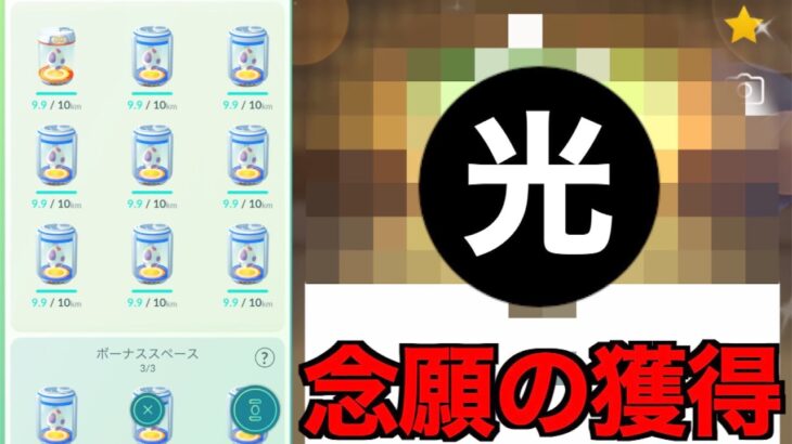 遂にヤツを仕留め歓喜に酔う秋田人の10キロ卵24連【ポケモンGO】