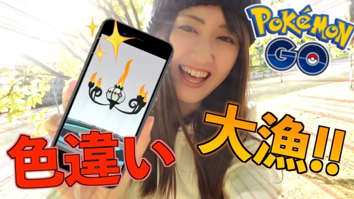 ヒトモシコミュデイ色違い大漁に獲ったどー!!【ポケモンGO】