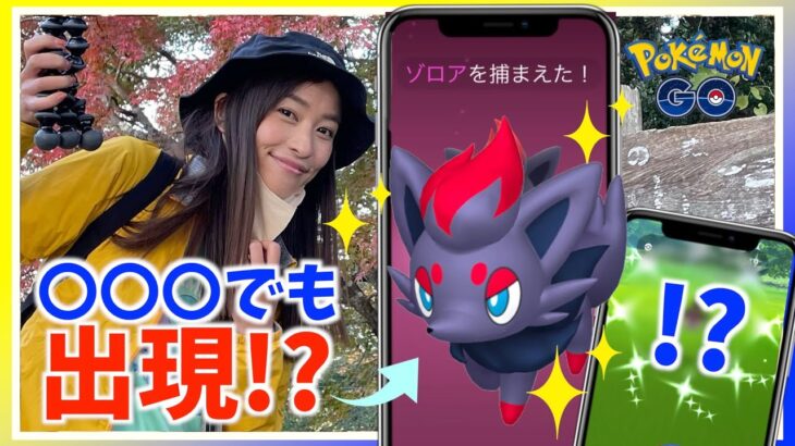 ゾロアは〇〇でも出現！？初めての高尾山で調査した結果が最高すぎた！！！【ポケモンGO】