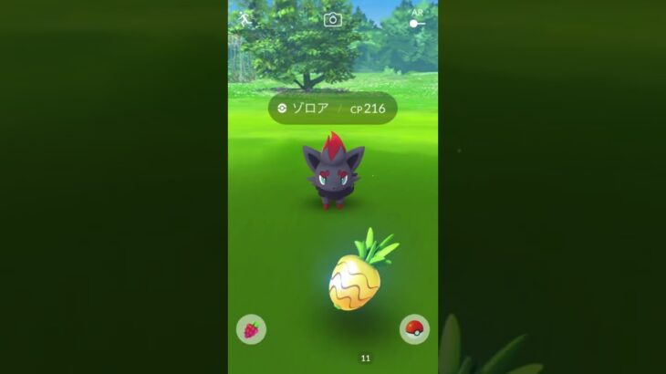 【ポケモンGO】ゾロア→ゾロア？