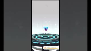 コスモウムへ進化【ポケモンGO】一旦さらばコスモッグ！スマホを再起動後に進化