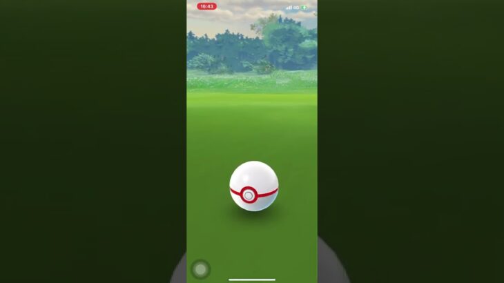 ポケモンGO❗️レイドデイで赤ギャラドス出現😆ゼルネアスの色違い出すぞ〜😊💪🏻