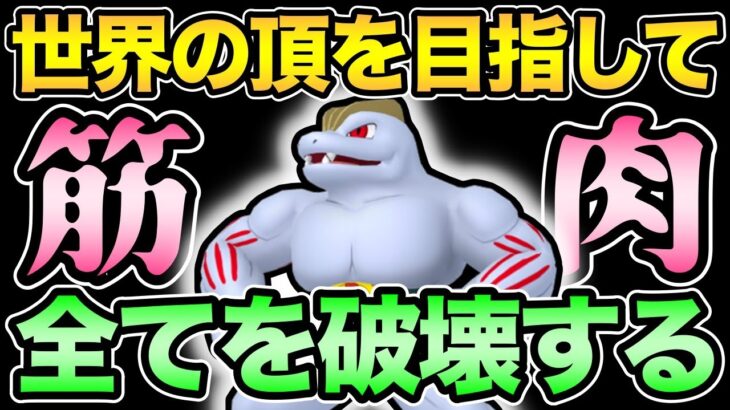 筋肉は全てを解決する！ヤルキ＋格闘弱点を破壊する【 ポケモンGO 】【 GOバトルリーグ 】【 GBL 】【 GBL光 】【 進化カップ 】