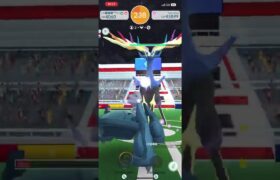 HARDCORE DUO XERNEAS POKEMON GO