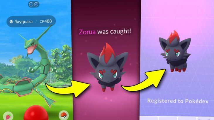 How to Catch ZORUA in Pokémon GO! (for real this time)