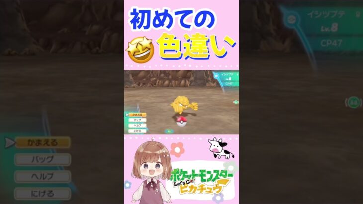 初めての 色違いポケモン出現🤩🤩【LET’S GO!!ピカチュウ】#shorts