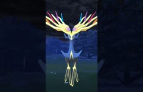 【Pokémon GO】Raid battle/Xerneas/ポケモンGOレイドバトル/ゼルネアス