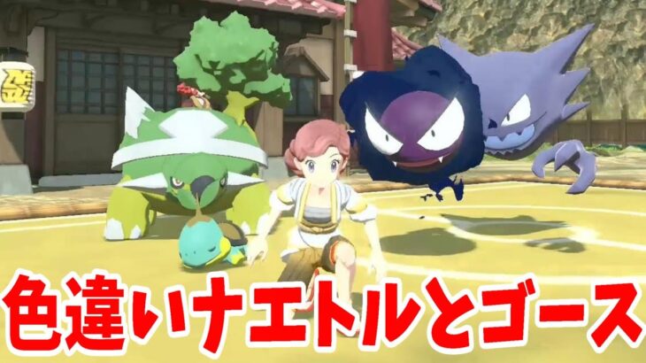 色違いナエトルの寝顔がかわいすぎ！ポケモンSVまでに･･･【ポケモンレジェンズアルセウス】