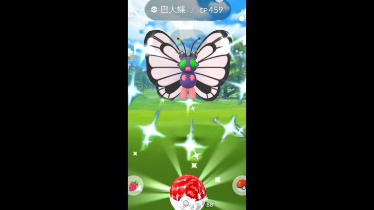 抓到色違巴大蝶！Shiny Butterfree バタフリー｜Pokemon GO