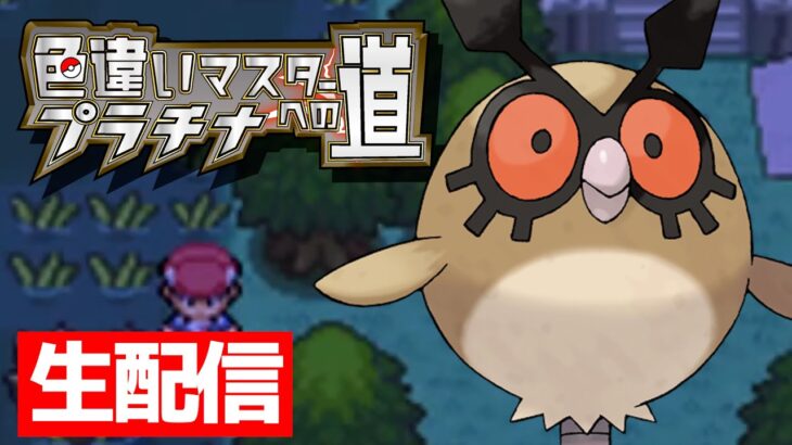 【残り15日】ポケモンSV発売までに絶対に色違いを捕まえる生配信（2022/11/03）【生配信】