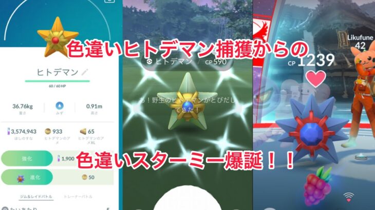 #ポケモンGO 色違いヒトデマン捕獲からの色違いヒトデマン爆誕！！