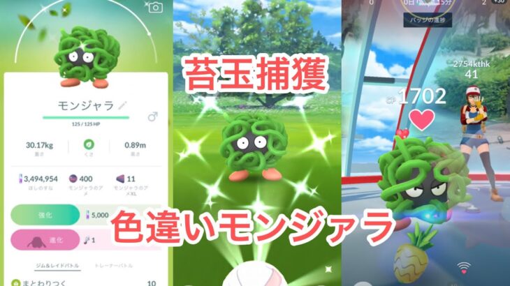 #ポケモンGO 苔玉捕獲　色違いモンジァラ