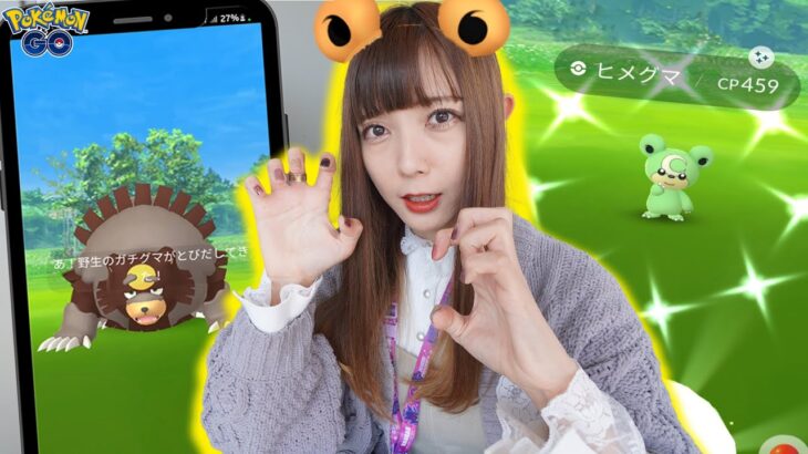 ヒメグマのコミュニティディ！だけじゃない！ガチグマも新実装！【ポケモンGO】