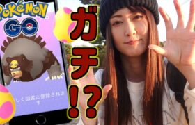 この結果…ガチ!? ヒメグマコミュデイ!!【ポケモンGO】