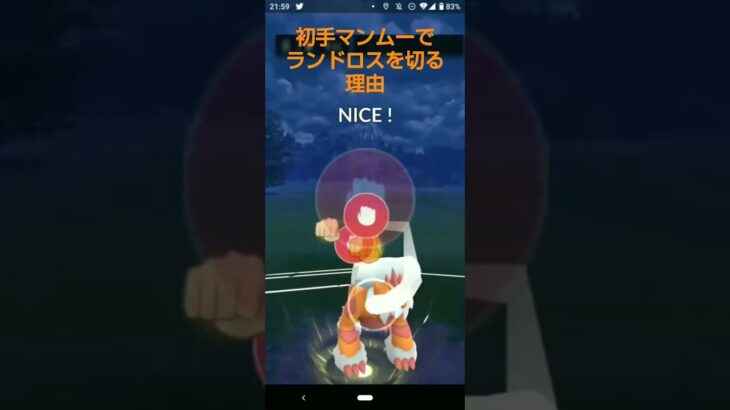 【ポケモンGO】初手ランドロス対初手マンムーはこうやって対処する‼️【マスターリーグ】